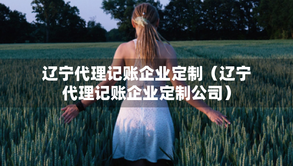 遼寧代理記賬企業(yè)定制（遼寧代理記賬企業(yè)定制公司）