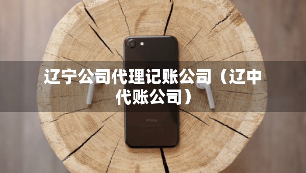 遼寧公司代理記賬公司（遼中代賬公司）