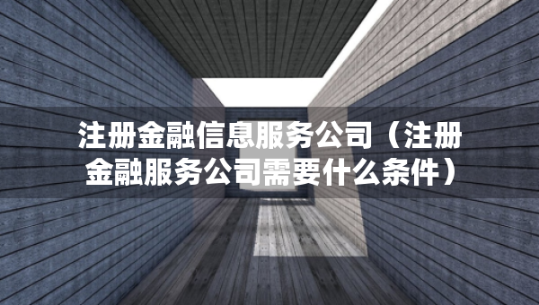 注冊(cè)金融信息服務(wù)公司（注冊(cè)金融服務(wù)公司需要什么條件）