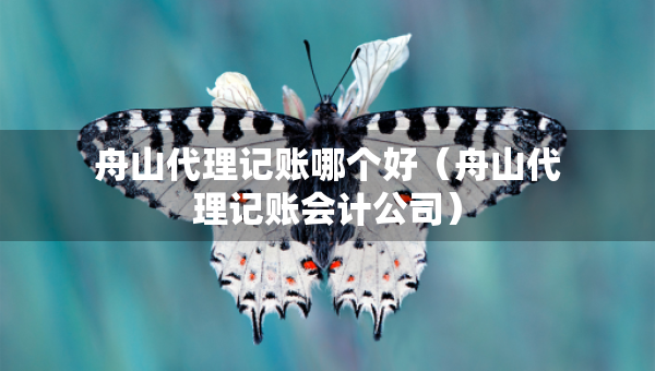 舟山代理記賬哪個(gè)好（舟山代理記賬會(huì)計(jì)公司）