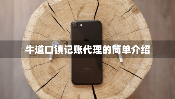 牛道口鎮(zhèn)記賬代理的簡單介紹