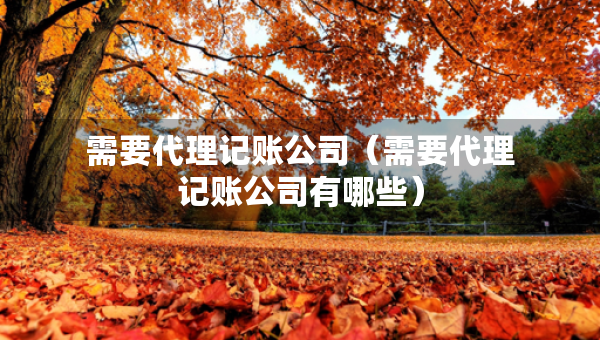 需要代理記賬公司（需要代理記賬公司有哪些）