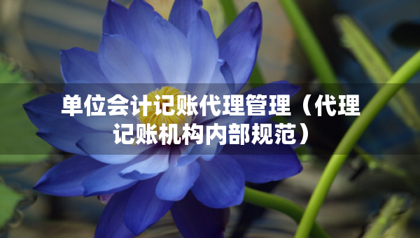 單位會計記賬代理管理（代理記賬機構(gòu)內(nèi)部規(guī)范）