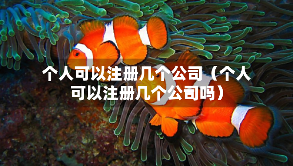 個人可以注冊幾個公司（個人可以注冊幾個公司嗎）