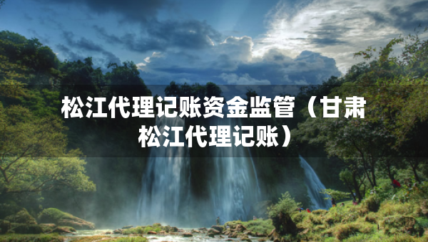 松江代理記賬資金監(jiān)管（甘肅松江代理記賬）