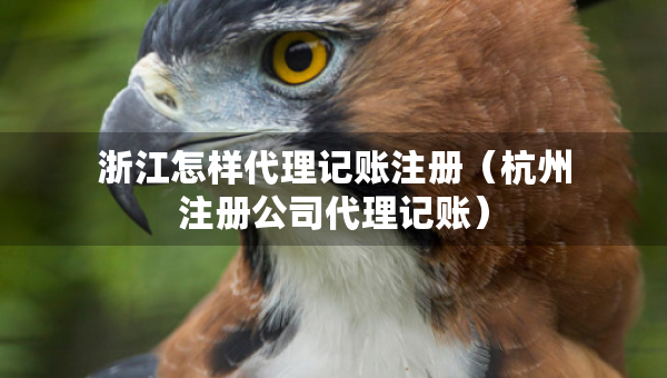 浙江怎樣代理記賬注冊(cè)（杭州注冊(cè)公司代理記賬）