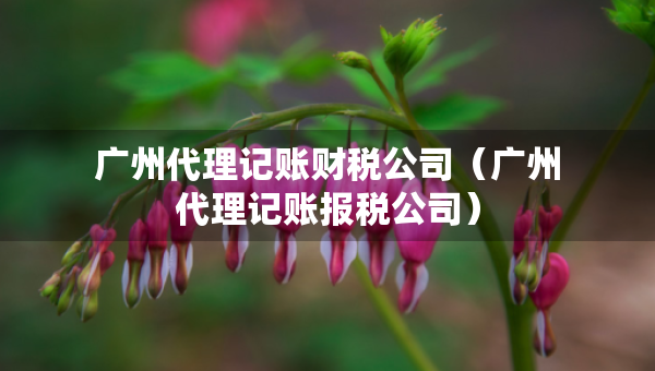 廣州代理記賬財(cái)稅公司（廣州代理記賬報(bào)稅公司）