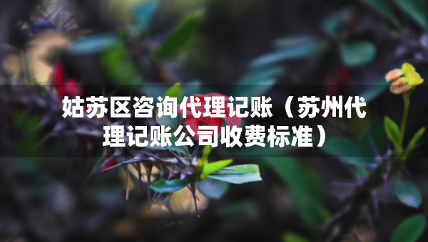 姑蘇區(qū)咨詢代理記賬（蘇州代理記賬公司收費(fèi)標(biāo)準(zhǔn)）