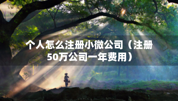 個(gè)人怎么注冊小微公司（注冊50萬公司一年費(fèi)用）