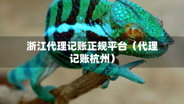 浙江代理記賬正規(guī)平臺(tái)（代理記賬杭州）