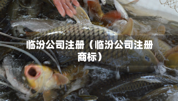 臨汾公司注冊（臨汾公司注冊商標(biāo)）