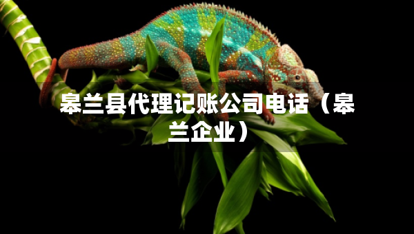 皋蘭縣代理記賬公司電話（皋蘭企業(yè)）