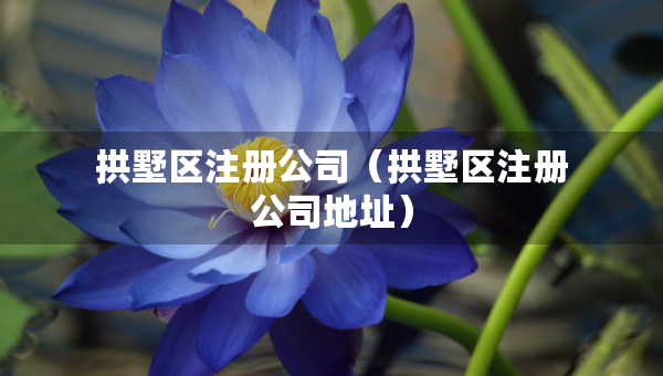 拱墅區(qū)注冊(cè)公司（拱墅區(qū)注冊(cè)公司地址）