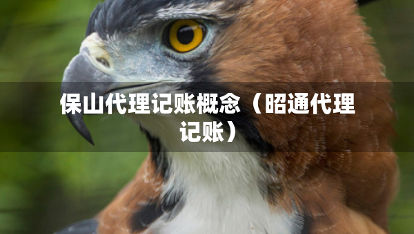 保山代理記賬概念（昭通代理記賬）