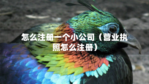怎么注冊一個小公司（營業(yè)執(zhí)照怎么注冊）