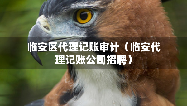 臨安區(qū)代理記賬審計(jì)（臨安代理記賬公司招聘）
