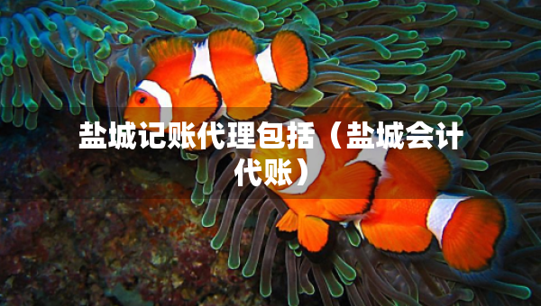 鹽城記賬代理包括（鹽城會計代賬）