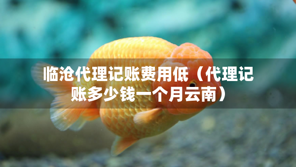 臨滄代理記賬費(fèi)用低（代理記賬多少錢一個(gè)月云南）