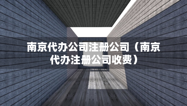 南京代辦公司注冊公司（南京代辦注冊公司收費）