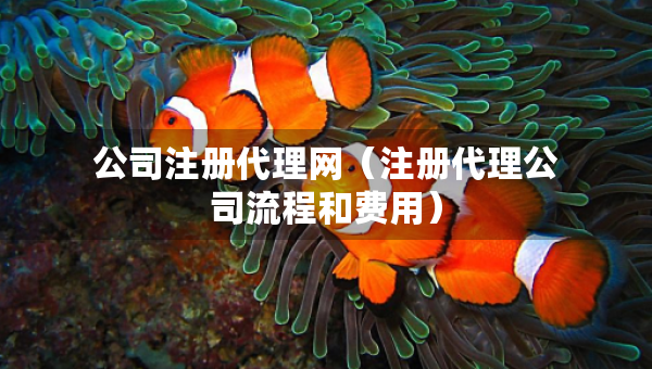 公司注冊代理網(wǎng)（注冊代理公司流程和費用）