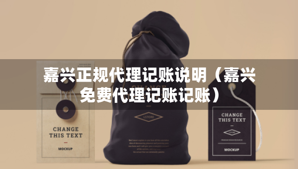嘉興正規(guī)代理記賬說明（嘉興免費(fèi)代理記賬記賬）