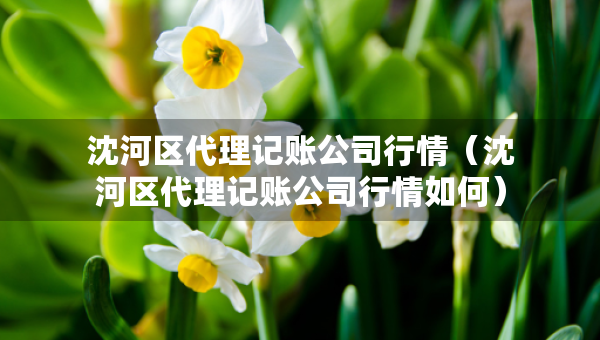 沈河區(qū)代理記賬公司行情（沈河區(qū)代理記賬公司行情如何）