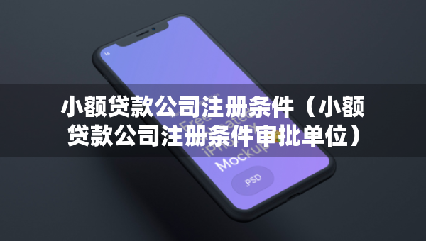 小額貸款公司注冊(cè)條件（小額貸款公司注冊(cè)條件審批單位）
