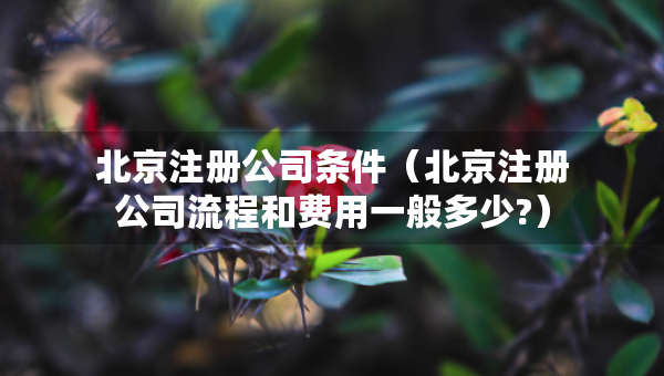 北京注冊公司條件（北京注冊公司流程和費(fèi)用一般多少?）