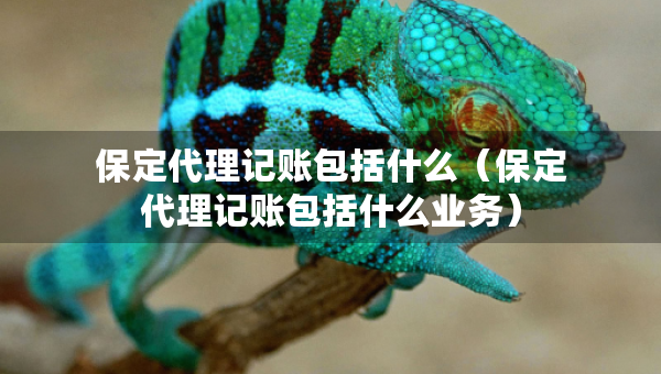 保定代理記賬包括什么（保定代理記賬包括什么業(yè)務(wù)）