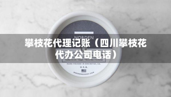 攀枝花代理記賬（四川攀枝花代辦公司電話）