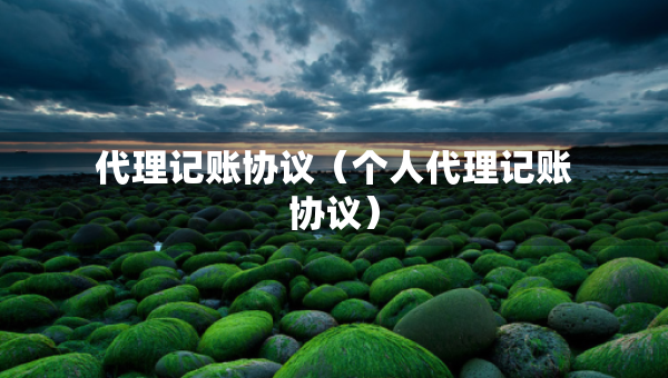 代理記賬協(xié)議（個(gè)人代理記賬協(xié)議）