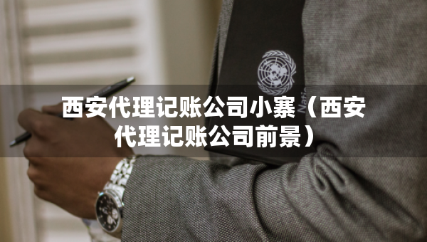 西安代理記賬公司小寨（西安代理記賬公司前景）