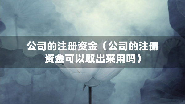 公司的注冊資金（公司的注冊資金可以取出來用嗎）