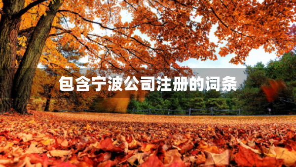 包含寧波公司注冊(cè)的詞條