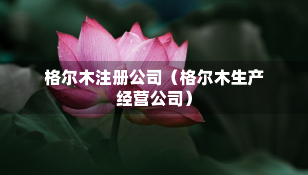 格爾木注冊(cè)公司（格爾木生產(chǎn)經(jīng)營(yíng)公司）