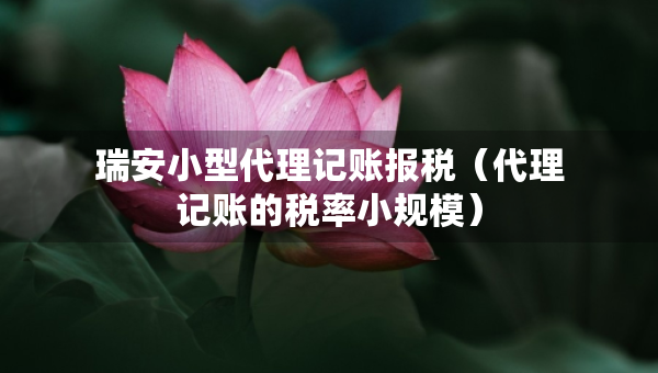瑞安小型代理記賬報稅（代理記賬的稅率小規(guī)模）