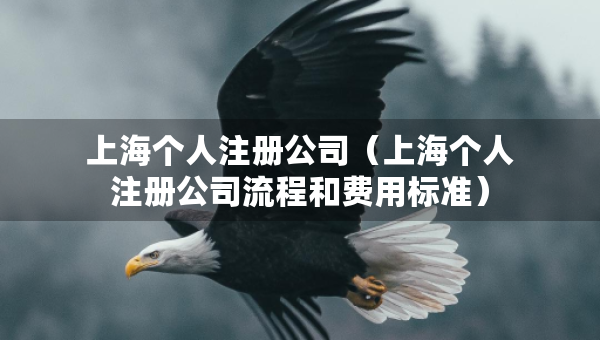 上海個人注冊公司（上海個人注冊公司流程和費(fèi)用標(biāo)準(zhǔn)）