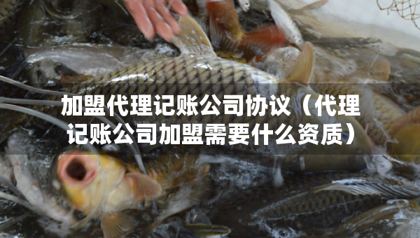加盟代理記賬公司協(xié)議（代理記賬公司加盟需要什么資質(zhì)）
