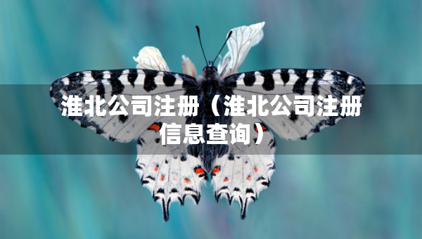 淮北公司注冊(cè)（淮北公司注冊(cè)信息查詢(xún)）