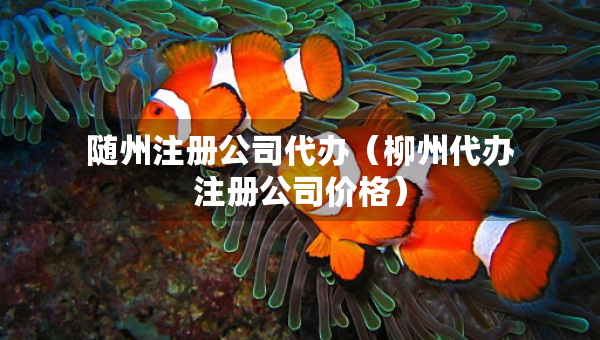 隨州注冊公司代辦（柳州代辦注冊公司價格）