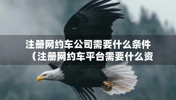 注冊(cè)網(wǎng)約車公司需要什么條件（注冊(cè)網(wǎng)約車平臺(tái)需要什么資質(zhì)）