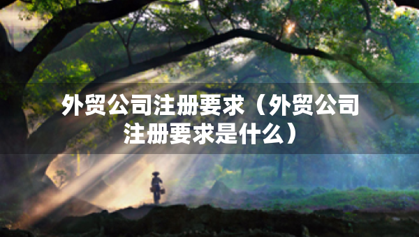 外貿(mào)公司注冊要求（外貿(mào)公司注冊要求是什么）