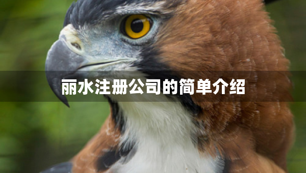 麗水注冊公司的簡單介紹