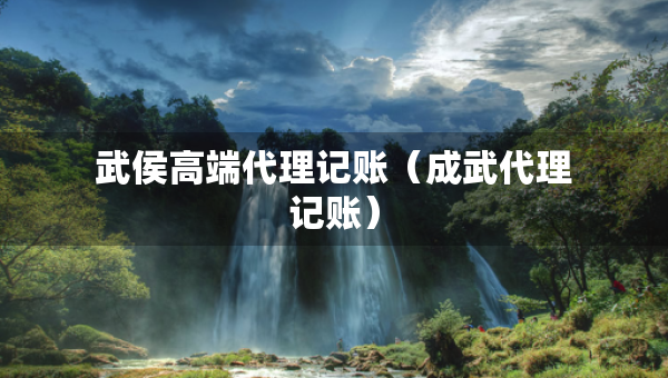 武侯高端代理記賬（成武代理記賬）