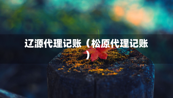 遼源代理記賬（松原代理記賬）