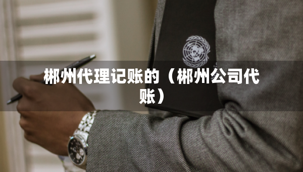 郴州代理記賬的（郴州公司代賬）