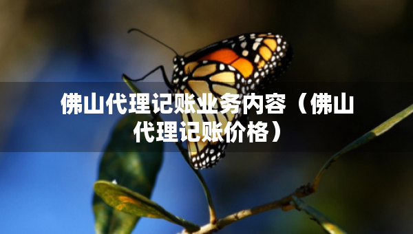 佛山代理記賬業(yè)務(wù)內(nèi)容（佛山代理記賬價(jià)格）