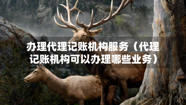 辦理代理記賬機(jī)構(gòu)服務(wù)（代理記賬機(jī)構(gòu)可以辦理哪些業(yè)務(wù)）