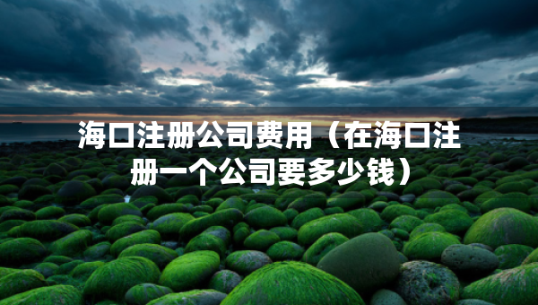 ?？谧?cè)公司費(fèi)用（在?？谧?cè)一個(gè)公司要多少錢）