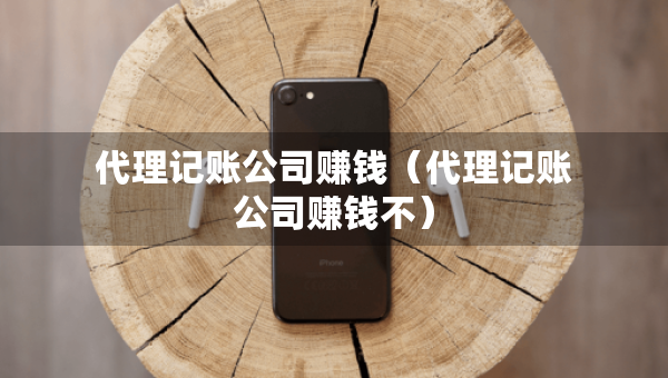代理記賬公司賺錢（代理記賬公司賺錢不）